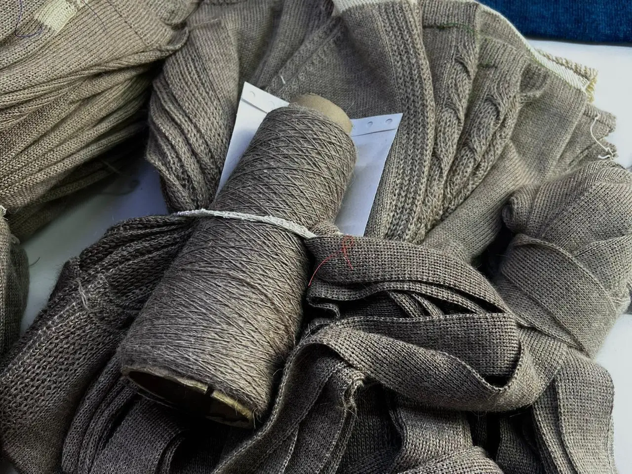 Alpacas en los Andes